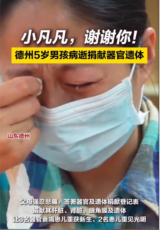 美国德州又在收割器官